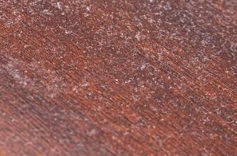 對于家里灰塵的清理，有什么方法嗎？