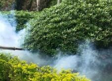 四害消殺完成后，需要做哪些鞏固工作呢？